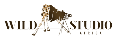 Wild Studio Africa 